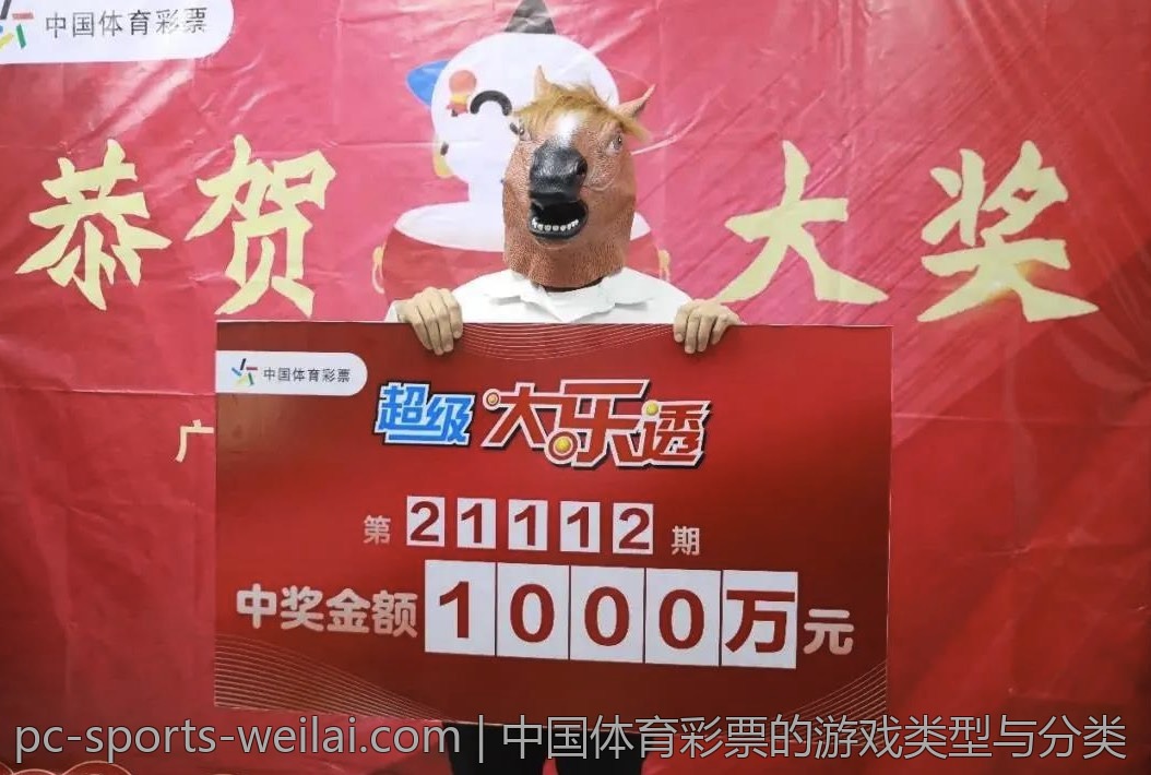 中国体育彩票的游戏类型与分类